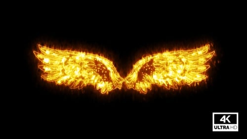 Fiery Golden Wings Outline Digital Reveal