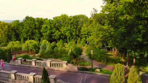 Flying Over Sunny Garden Park