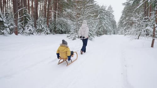 A Young Mother and Son Have Fun in the Winter in the Forest Sledding in Slow Motion