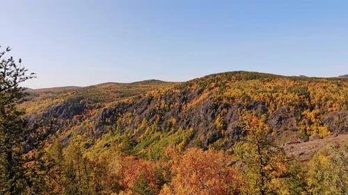 Herbst Natur
