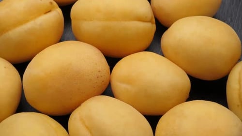 Close Up of Fresh Golden Apricots