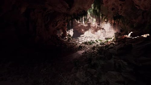 View From Inside a Dark Cave with Green Plants and Light on the Exit