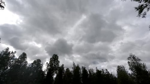 Time lapse landscape fluffy cloud sky flowing on natural forest on morning