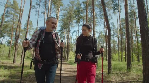 Couple Hiking With Hiking Poles in Green Forest