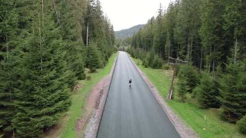 Radfahrer im Helm auf Rennrad fährt schnell auf leerer Autostraße im Kiefernwald