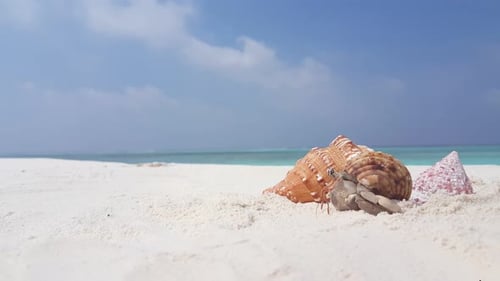Beautiful fly over copy space shot of a sandy white paradise beach and blue water background in colo
