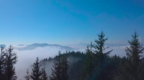 Flying Over the Forest and Fog in a Mountain Valley