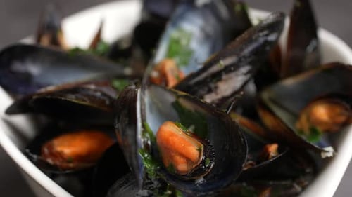 Bowl of Fresh and Delicious Cooked Mussels