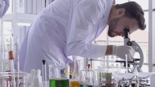 Scientists Working in a Modern Lab