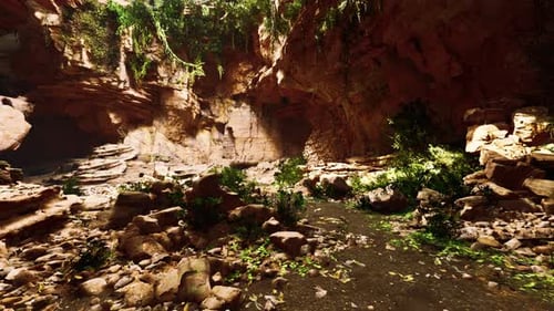 View From Inside a Dark Cave with Green Plants and Light on the Exit
