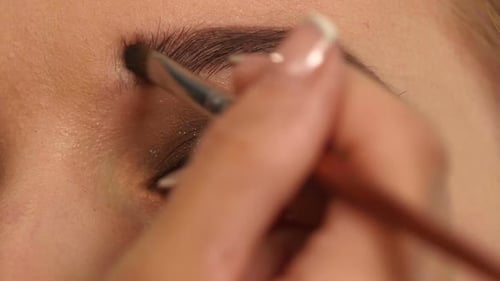 Make-up for the Young Girl: Beauty Shape of Eyebrows Using Cosmetic Brush, Close Up, Slow Motion
