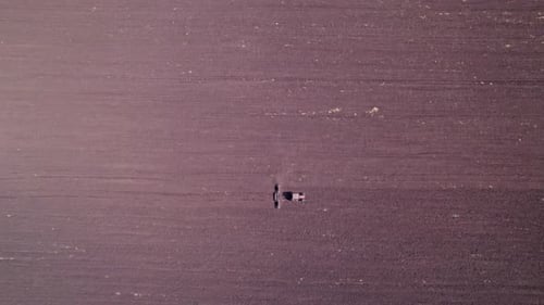 Tractor on the Field