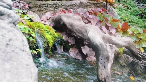 Mini cascade à travers la mousse dans un petit ruisseau