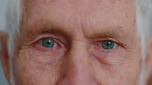 Extreme Nahaufnahme Makro-Porträt von faltigem Gesicht Alter Senior Schöne Männeraugen Blick in die Kamera