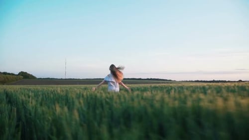 Back Look of Happy Girl in Dress Running in a Green Field