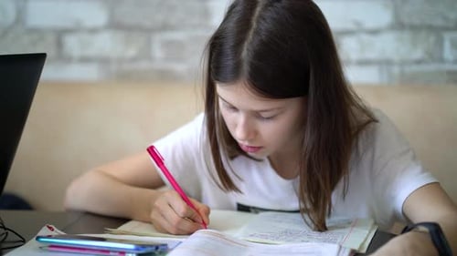 Student Concentrating on Homework at Home