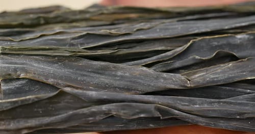 Heap of Konbu in rotation