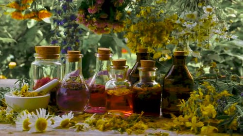 Herbal Essences and Medicinal Flower Still Life