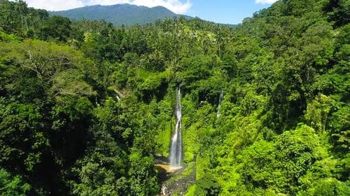 Cascade romantique dans la jungle