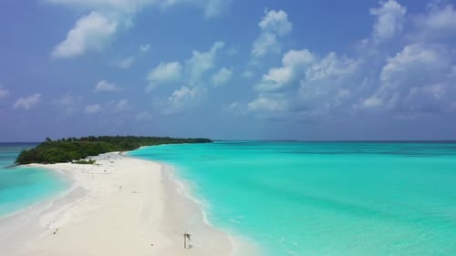 Aerial abstract of tranquil bay beach wildlife by blue green water and white sand background of a da