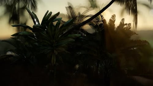 Cinematic Tropical Landscape Animation with Sun Rays and Palm Trees