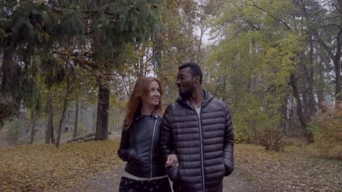 Interracial-Liebeskonzept. Schönes junges interrassisches Paar, das im nebligen Herbst auf der Straße geht