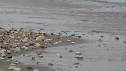 Gentle sea wave at the beach