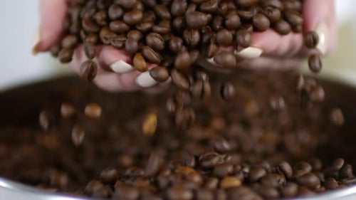 Unerkennbare Frau nimmt eine Handvoll Kaffeebohnen