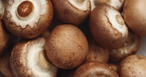 Top View Of Uncooked Fresh Raw Royal Champignon Mushrooms Rotating Close Up. Appetizing