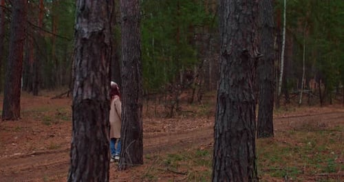 Girl Walks Along a Forest Path Wide Tree Trunks