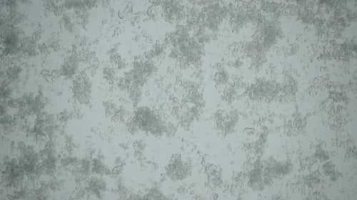 Wet Snow Falls on the Glass Melts and Flows a Drop Down on a Window at Christmas Time