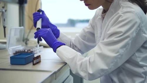Woman Chemist Uses Pipette with Liquid Filling Pcr Test Tubes Spbd