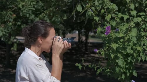 Woman Taking Pictures of Flowers in a Park