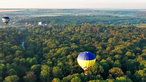 Multicolored balloons fly over trees. Nice top view of the park, forest covered with greenery.