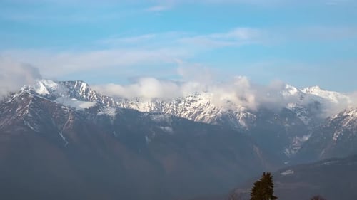 The upper part of the spruce trees in front of the high mountains is covered with snow.