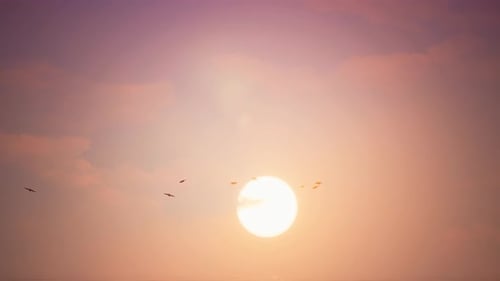 Beautiful Sunset Over Ocean with Flying Birds