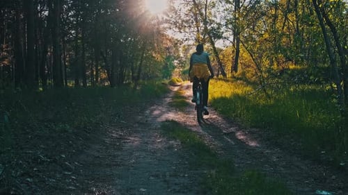 Woman on Bicycle Rides Along Forest Path in a Green Area on a Sunny Summer Day