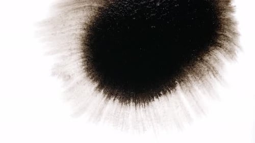 Black Ink Drops On White Background