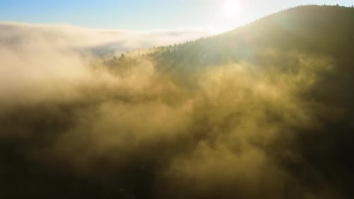 Aerial View of Bright Foggy Morning Over Dark Mountain Forest Trees at Autumn Sunrise