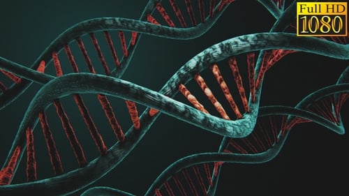 Dynamic 3D DNA Double Helix Science Animation Loop