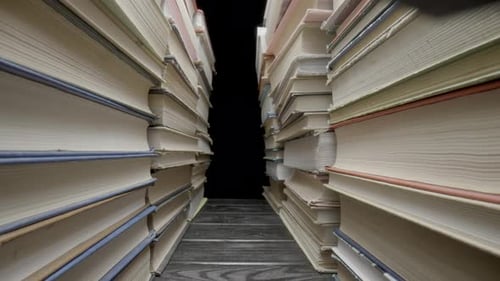 Path Between Stacks of Hardcover Books