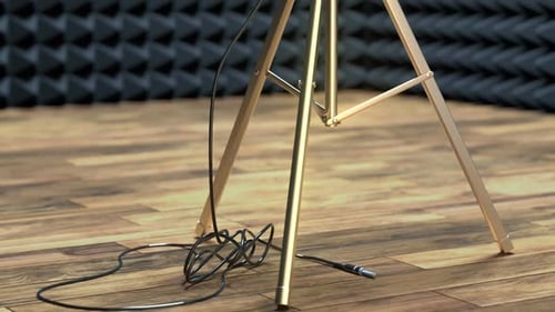 Professionelles Mikrofon auf einem Mikrofonständer im Tonstudio