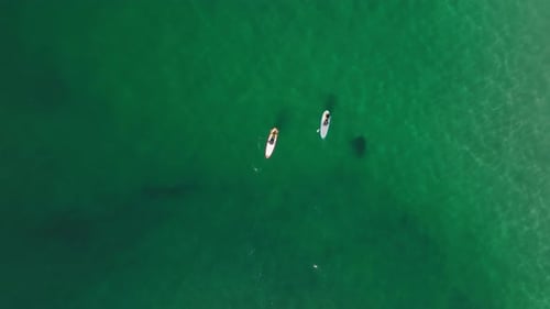 People Floating on Greenish Ocean Waters on Their Paddleboards