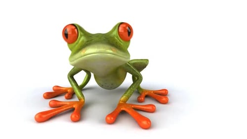 Animated 3D Frog Waving and Looking Around