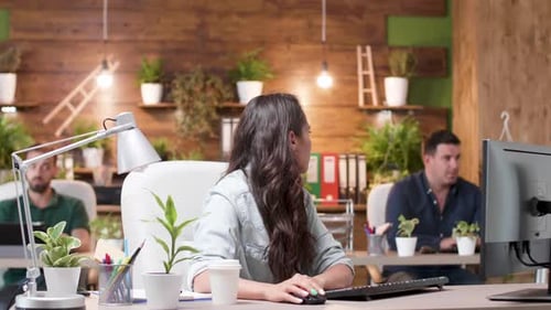 Woman Working in Modern Office with Coworkers