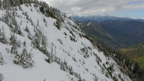 Fly Pass Through the Trees Into the Snowy Forest