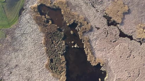 Aerial View Of Reeds Covered Lake 2