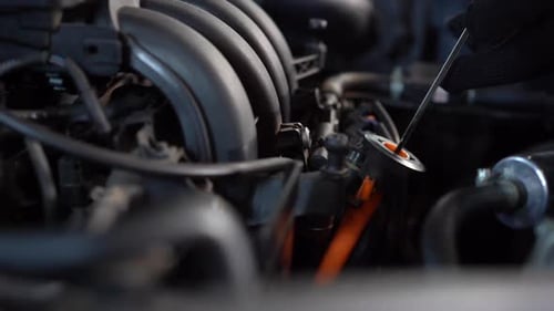 Checking Oil Level in A Car Engine Close Up