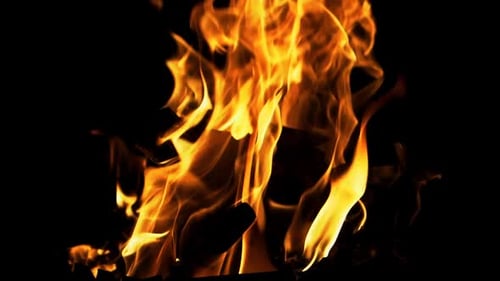The Fire is Lit in the Night