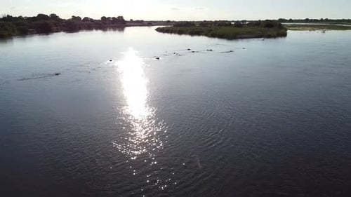 Vue sur la rivière avec reflet du soleil dans l'eau, hippopotames nageant